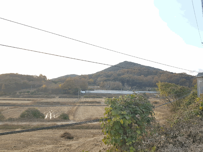 경상남도 진주시 수곡면 대천리 산6-8 임야 경매 사진 83