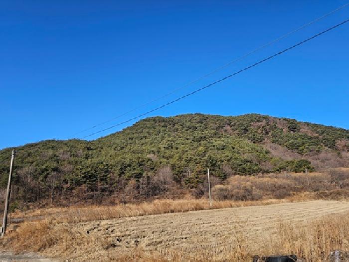 경상남도 진주시 수곡면 사곡리 산41 임야 경매 사진 76