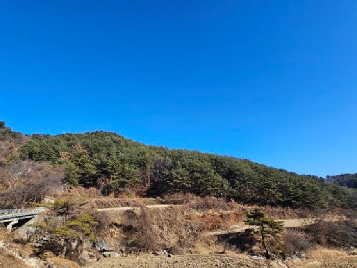 경상남도 진주시 수곡면 사곡리 산159-2 임야 경매 사진 77