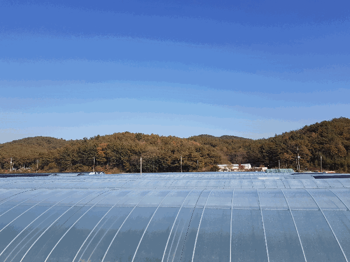 경상남도 진주시 수곡면 효자리 산102 임야 경매 사진 80