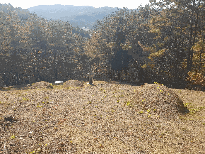 경상남도 진주시 수곡면 효자리 산102 임야 경매 사진 83