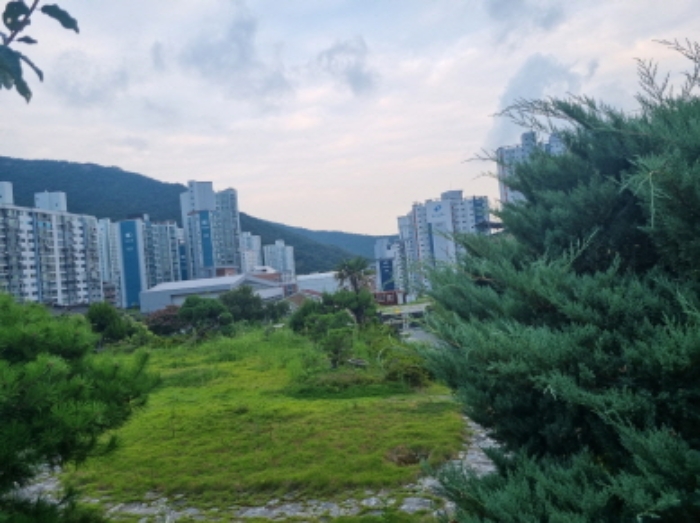 전라남도 광양시 마동 1018-23 외 1필지 단독주택 경매 사진 6
