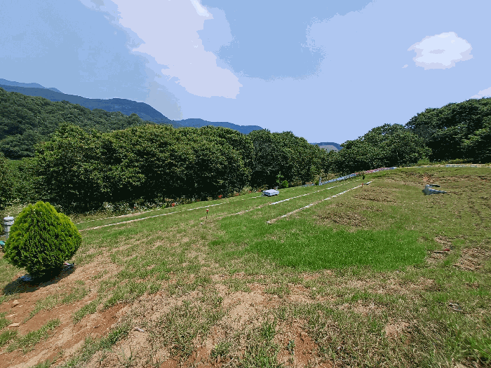 경상남도 하동군 양보면 감당리 266 전 경매 사진 23
