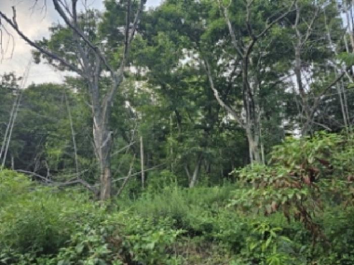 경상남도 하동군 양보면 감당리 343 전 경매 사진 21