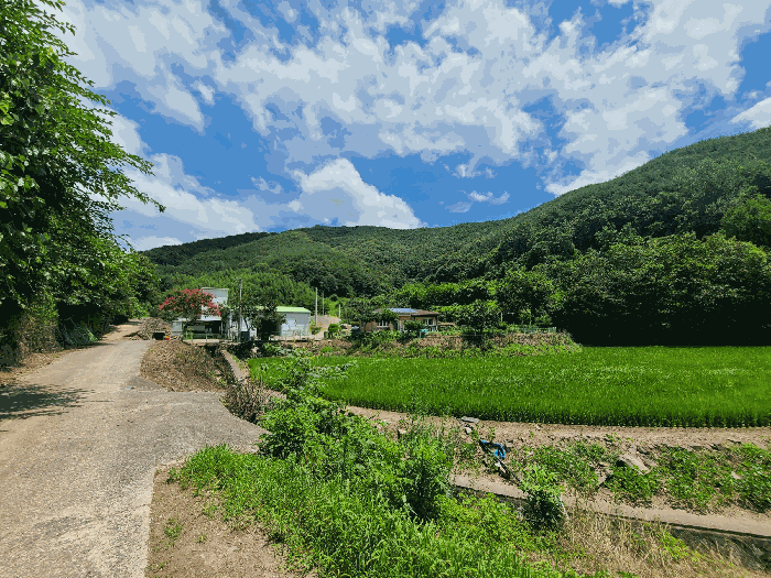 경상남도 의령군 지정면 득소리 640 전 경매 사진 62