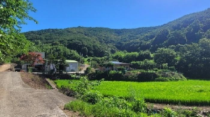 경상남도 의령군 지정면 득소리 602 답 경매 사진 60