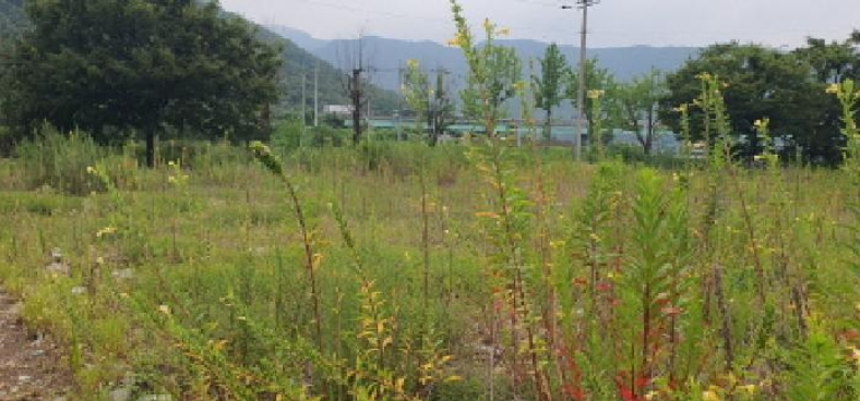 경상북도 경산시 남천면 금곡리 418-1 하천 경매 사진 23