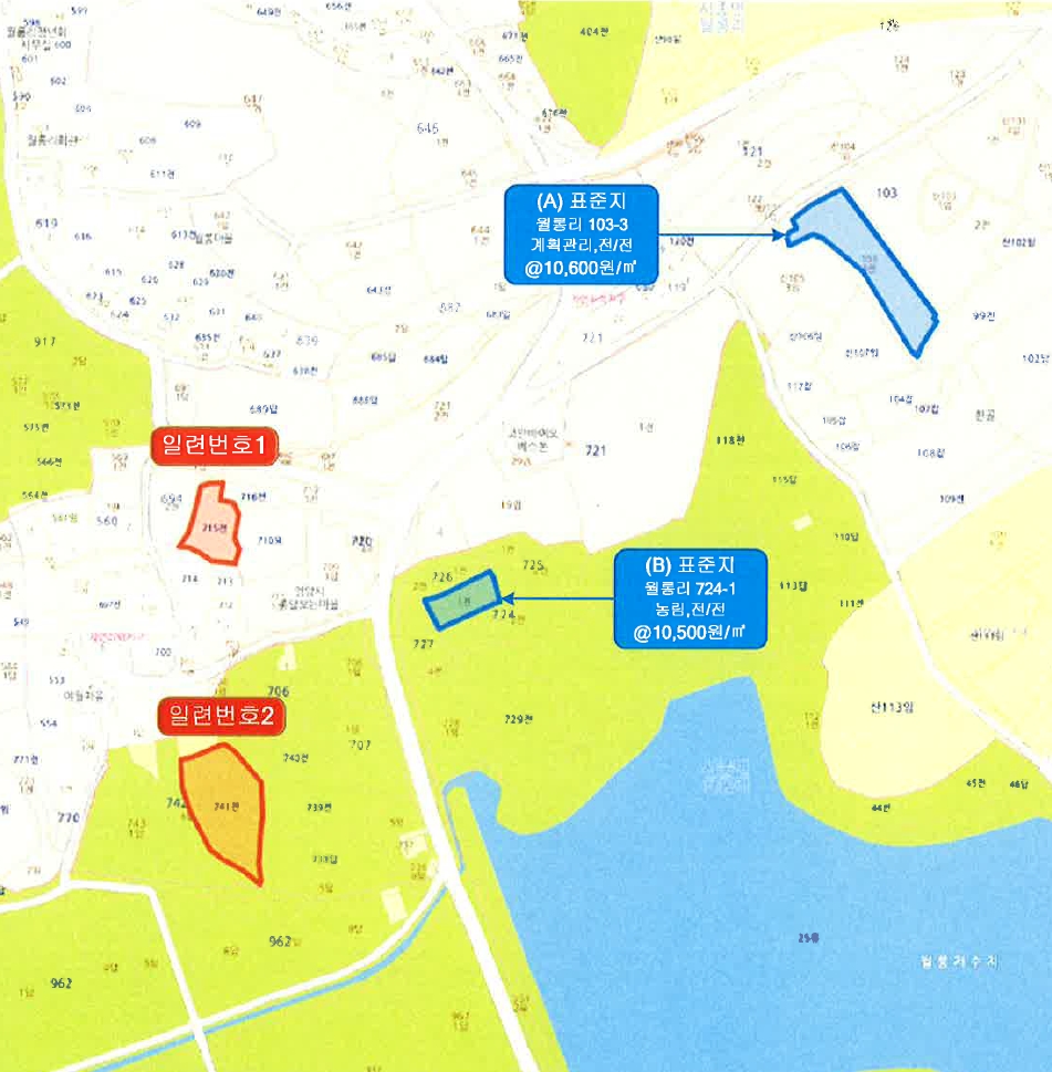 전라남도 영암군 시종면 월롱리 715 전 경매 사진 53