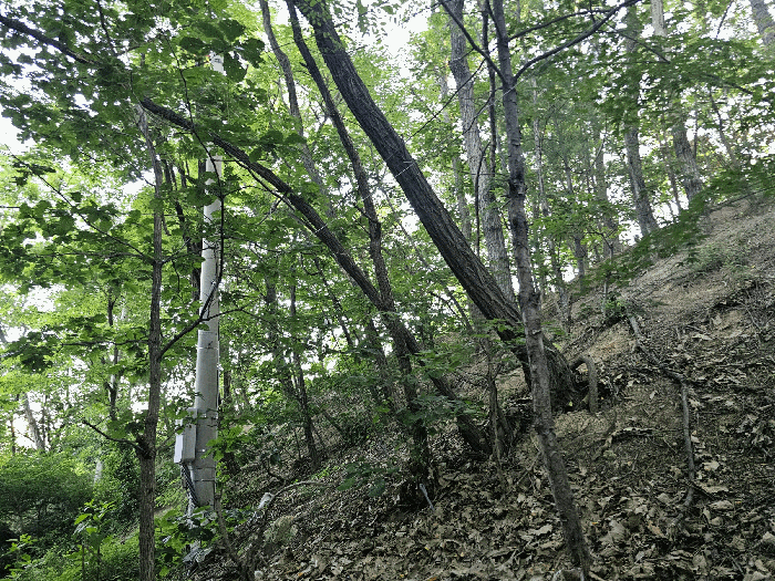 경상북도 포항시 북구 흥해읍 대련리 산133-11 임야 경매 사진 25