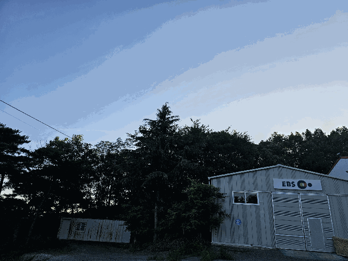 경상북도 포항시 북구 흥해읍 대련리 산133-11 임야 경매 사진 26