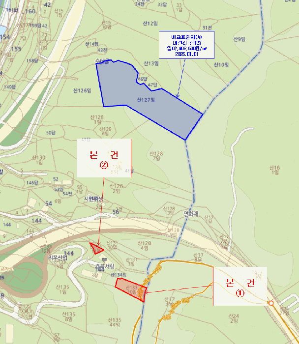 경상북도 포항시 북구 흥해읍 대련리 산133-11 임야 경매 사진 29