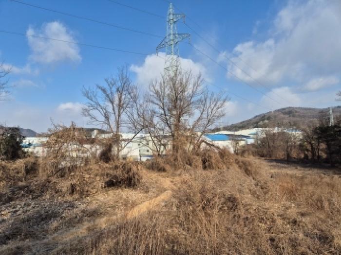 세종특별자치시 부강면 금호리 284 전 경매 사진 25