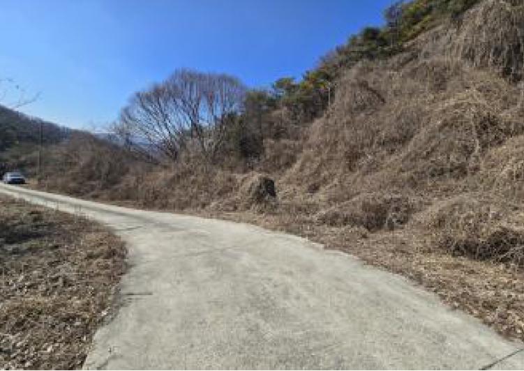 충청북도 단양군 가곡면 여천리 102 전 경매 사진 42