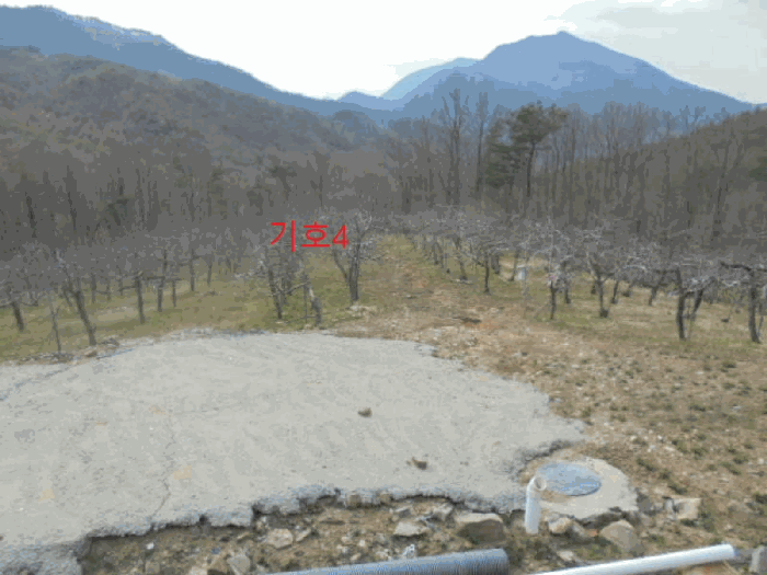 충청북도 단양군 단성면 가산리 9-3 전 경매 사진 26