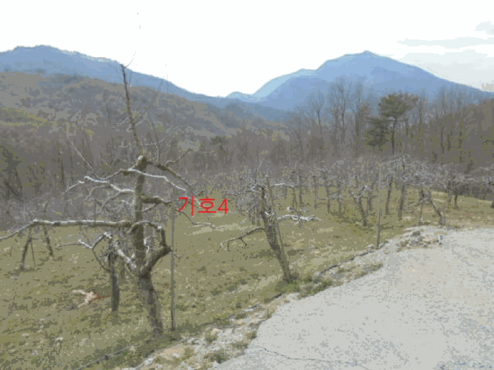 충청북도 단양군 단성면 가산리 9-3 전 경매 사진 27