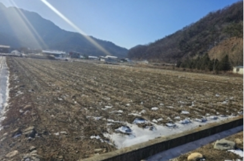 충청북도 단양군 단성면 가산리 250 답 경매 사진 44
