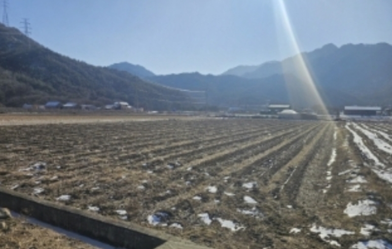 충청북도 단양군 단성면 가산리 250 답 경매 사진 45