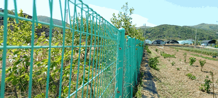 울산광역시 북구 무룡동 327-9 전 경매 사진 26