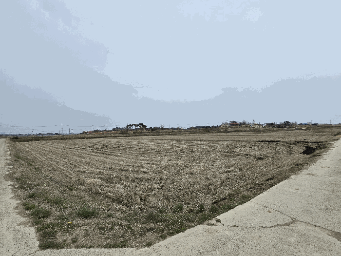 충청남도 당진시 신평면 매산리 707 답 경매 사진 24