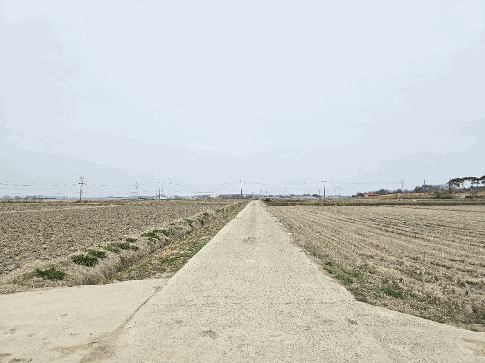 충청남도 당진시 신평면 매산리 707 답 경매 사진 25