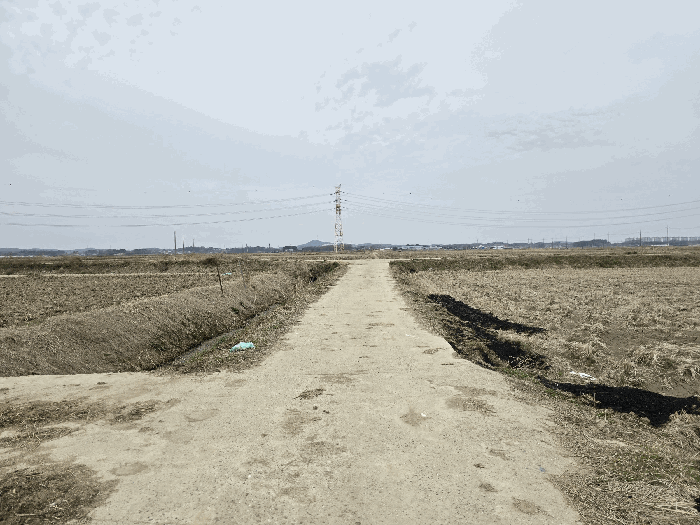 충청남도 당진시 신평면 매산리 707 답 경매 사진 26
