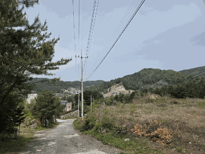 경기도 가평군 상면 임초리 106-18 임야 경매 사진 23