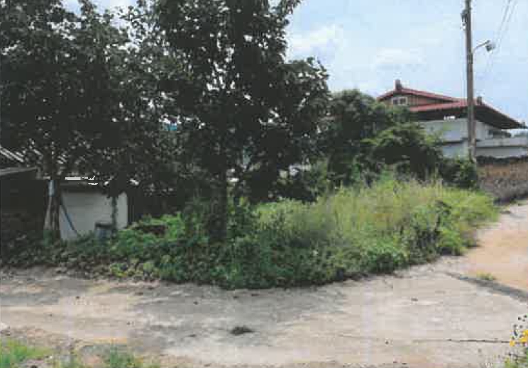 경상북도 칠곡군 지천면 신리 196 대지 경매 사진 13