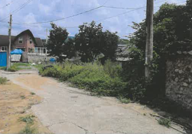 경상북도 칠곡군 지천면 신리 196 대지 경매 사진 14