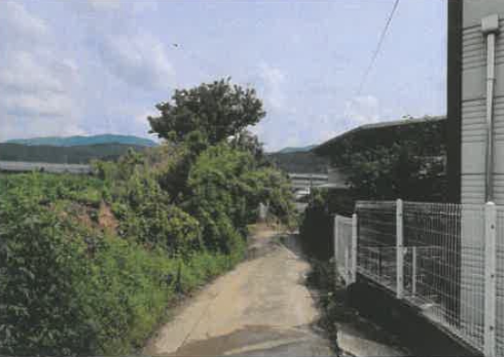 경상북도 칠곡군 지천면 신리 196 대지 경매 사진 16