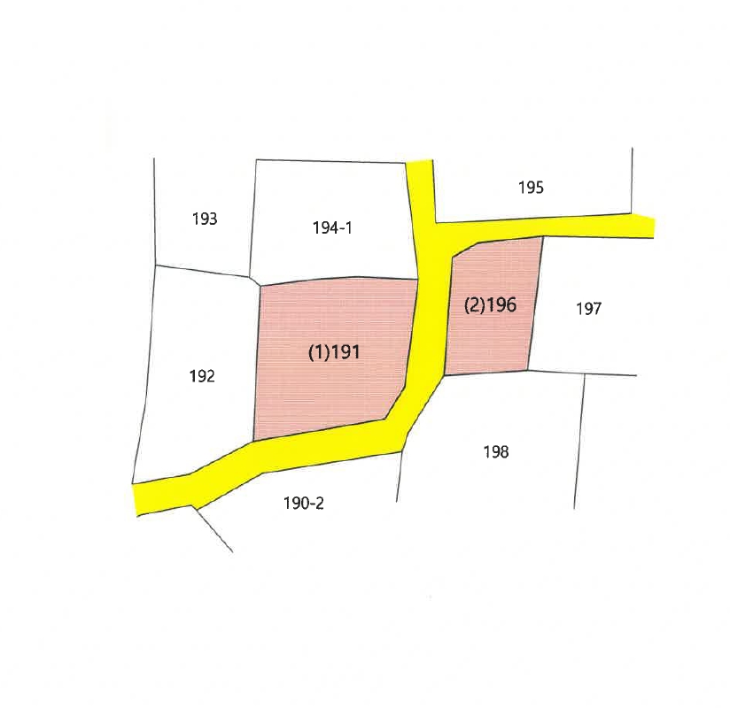 경상북도 칠곡군 지천면 신리 196 대지 경매 사진 18