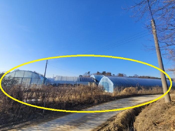 충청북도 청주시 청원구 북이면 현암리 432 전 경매 사진 2