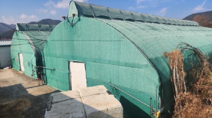 전라남도 고흥군 도화면 봉룡리 1397-5 답 경매 사진 22