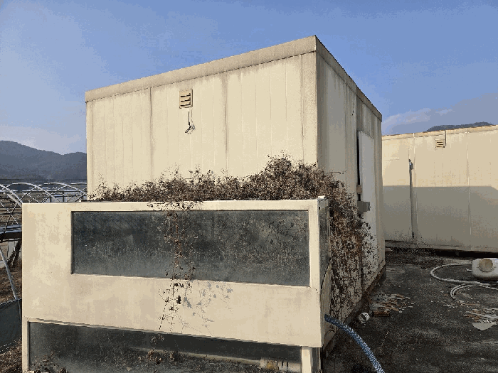 전라남도 고흥군 도화면 봉룡리 1397-5 답 경매 사진 31