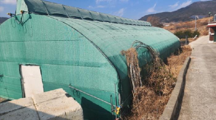 전라남도 고흥군 도화면 봉룡리 1397-5 답 경매 사진 23