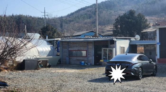 전라남도 고흥군 도화면 사덕리 177 답 경매 사진 4