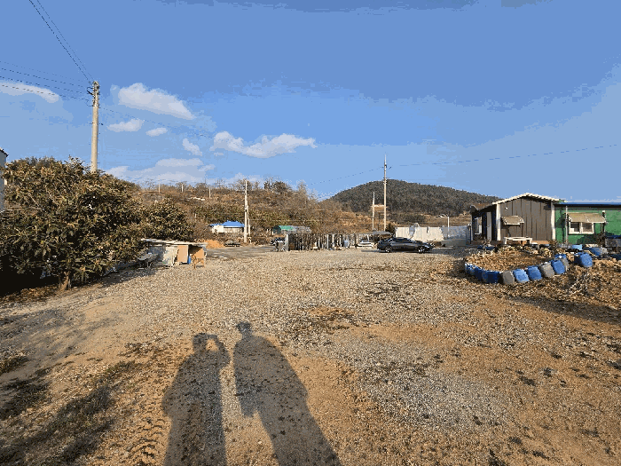 전라남도 고흥군 도화면 사덕리 177 답 경매 사진 6