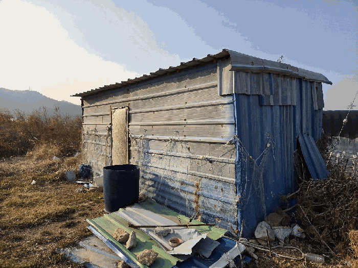 전라남도 고흥군 도화면 사덕리 178 답 경매 사진 9