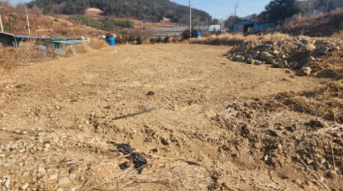 전라남도 고흥군 도화면 사덕리 180 전 경매 사진 21