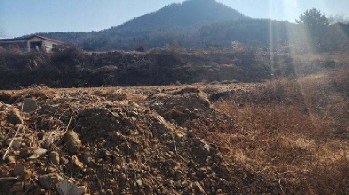 전라남도 고흥군 도화면 사덕리 180 전 경매 사진 22