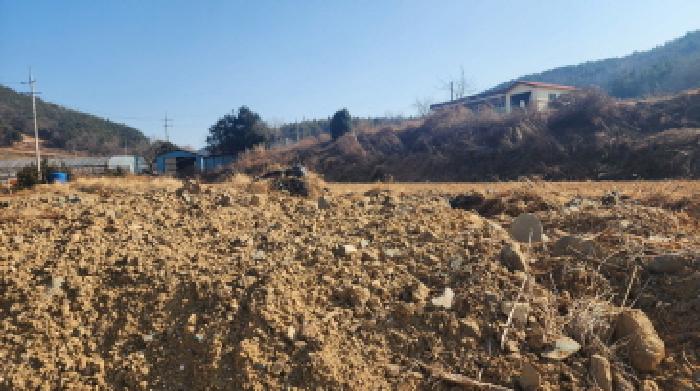 전라남도 고흥군 도화면 사덕리 180 전 경매 사진 23