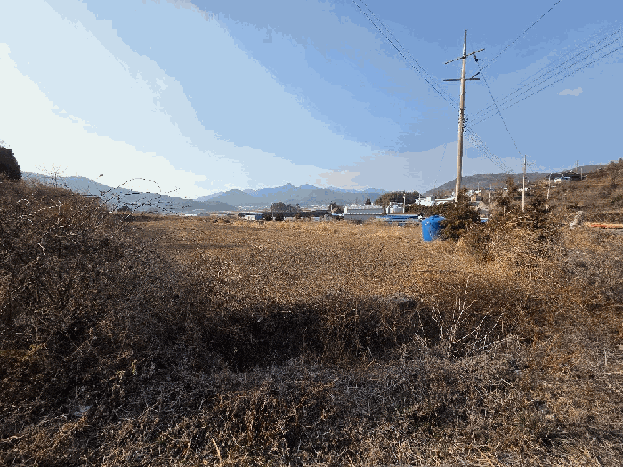 전라남도 고흥군 도화면 사덕리 180 전 경매 사진 25