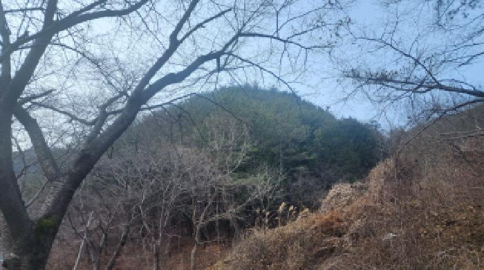 전라남도 보성군 문덕면 죽산리 506 외 4필지 임야 경매 사진 2