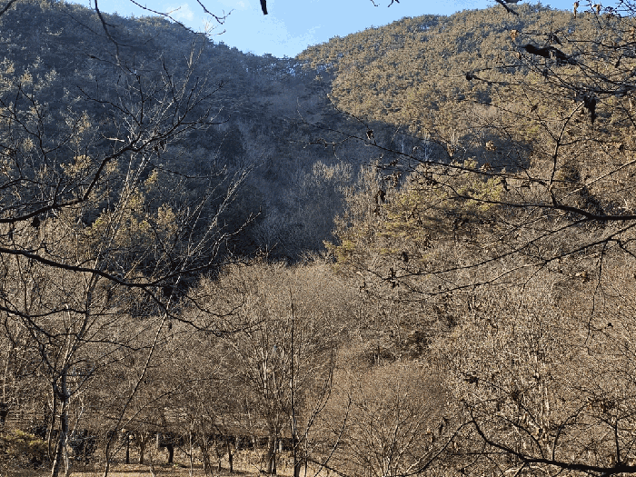 전라남도 보성군 문덕면 죽산리 506 외 4필지 임야 경매 사진 4