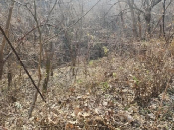 전라남도 구례군 문척면 중산리 456 전 경매 사진 1
