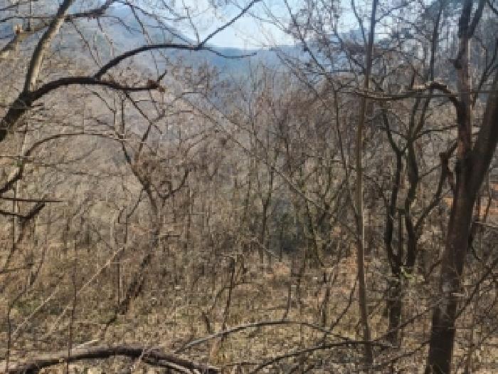 전라남도 구례군 문척면 중산리 457 전 경매 사진 1
