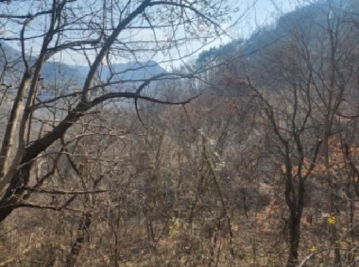 전라남도 구례군 문척면 중산리 458 전 경매 사진 1