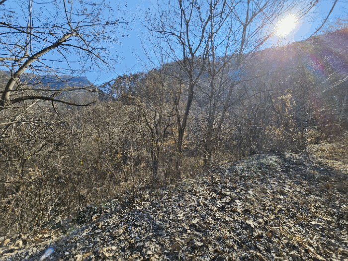 전라남도 구례군 문척면 중산리 458 전 경매 사진 3