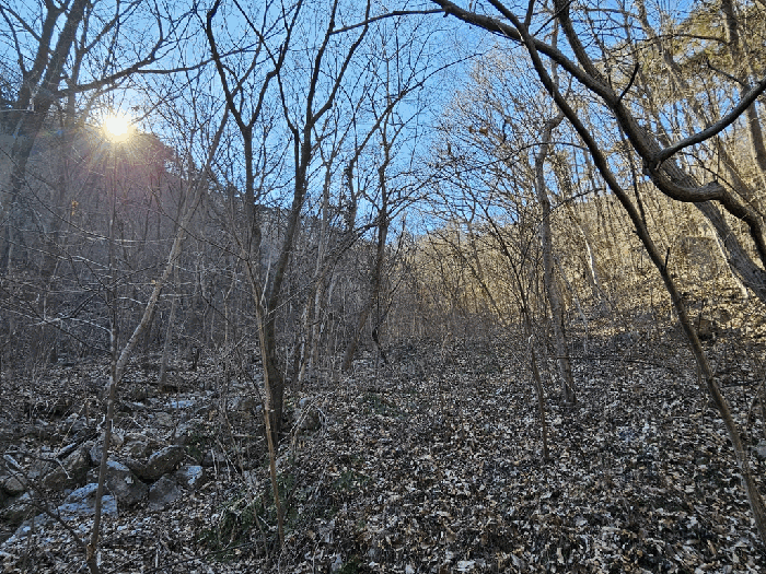 전라남도 구례군 문척면 중산리 458 전 경매 사진 5