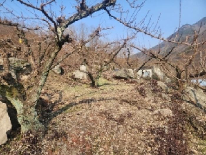 전라남도 구례군 문척면 중산리 465 전 경매 사진 1