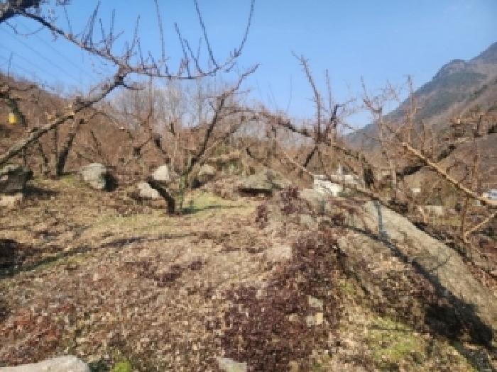 전라남도 구례군 문척면 중산리 465 전 경매 사진 2
